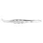 Alfonso Forceps