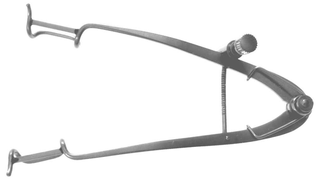 William Spec, Adult