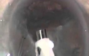 The 